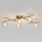 Потолочная люстра Liana 502001/5 латунь
