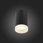 Потолочный светильник ST Luce ST100.402.01