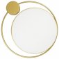Потолочный светодиодный светильник Loft IT Mike 10063