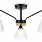 Потолочная люстра Ambrella light TRADITIONAL TR9564