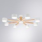 Потолочная люстра Arte Lamp TENDA A1624PL-8WH