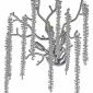 Бра Dio DArte Elite Tavenna H 2.40.100 N