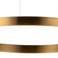 Подвесной светодиодный светильник Loft IT Ring 10013L