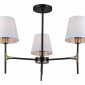 Потолочная люстра Illumico IL0185-3CSQ-24 BK AB CASTOR