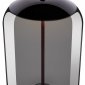 Подвесной светодиодный светильник Loft IT Knot 8134-C