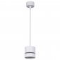 Подвесной светильник Reluce Technical 53017-0.9-001MN GX53 WT