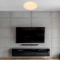 Потолочный светильник Helene 10213/SG LED