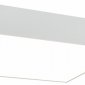 Потолочный светильник Maytoni Zon C067CL-L40W3K