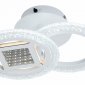 Потолочная светодиодная люстра Escada Mira 10214/2LED