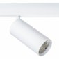Светильник на штанге Lightstar Teta 205036