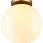 Потолочный светильник Odeon Light Bosco 4248/1C