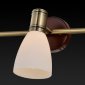 Настенно-потолочный светильник Toplight Sharyl TL3720Y-03BB