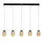 Подвесной светильник DeLight Collection MD25090022 MD25090022-5B matt black/champagne