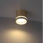 Накладной потолочный светильник Ritter Arton 59945 6