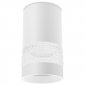 Точечный светильник Ambrella light TN TN370