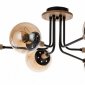Потолочная люстра Arte Lamp Oxford A2716PL-6BK