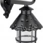 Настенный фонарь уличный Oasis Light CAIOR 1 81502 Bl