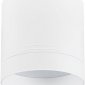 Точечный светильник Barell DL18483R15W1W