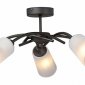 Потолочная люстра Vitaluce V2850-1/5PL