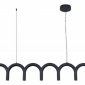 Подвесной светильник Arte Lamp Warhol A3258SP-45BK