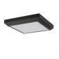 Потолочный светильник уличный Oasis Light SIDNEY LED W1021 Gr
