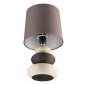 Интерьерная настольная лампа Latza 8126/1Т