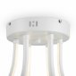 Потолочная люстра Freya Crosby FR6044CL-L114W