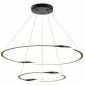 Подвесной светильник Arte Lamp Veritate A2211SP-2BK