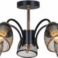 Потолочная люстра  01505-0.3-05 BK+FGD