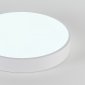 Потолочный светильник Natali Kovaltseva LED LAMPS 81112/5C
