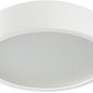 Потолочный светодиодный светильник Kanlux Jasmin 23126
