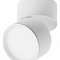 Точечный светильник Lightstar Acuto 215836