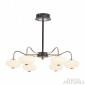 Потолочная люстра Arte Milano Neapol-73908 273908/6 BK/GD
