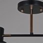 Потолочная люстра Reluce 06074-3.3-02 BK+FG