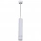 Подвесной светильник Reluce Technical 16005-0.9-001LD 300mm GU10 WT