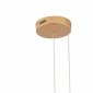 Подвесной светильник Ringolight ZRS.33320.63F