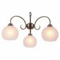 Подвесная люстра Arte Lamp A9317LM-3AB
