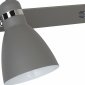 Настенно-потолочный светильник Arte Lamp Mercoled A5049AP-2GY