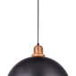 Подвесной светильник Arte Lamp Eurica A4249SP-1BK