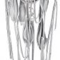 Подвесной светильник DeLight Collection Goddess Tears P68009S-1H chrome