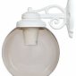 Настенный светильник уличный Fumagalli Globe 300 G30.131.000.WZE27DN