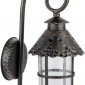 Настенный фонарь уличный Oasis Light CAIOR 1 81502/18 R