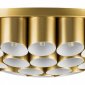 Потолочная люстра Lightstar Siena 720402