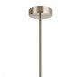 Потолочная люстра Favourite Varietas 2650-14P