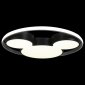Потолочный светильник Loft IT Mike 10166