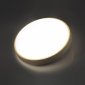 Настенно-потолочный светодиодный светильник Sonex Losta 7607/DL