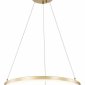 Подвесной светодиодный светильник Escada Void 10254/1LED Gold APP
