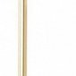 Настенный светодиодный светильник Loft IT Rays 10056GD