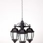 Уличный светильник подвесной Oasis Light 91270L/3 Bl