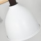 Потолочная люстра ImperiumLoft FLAN01